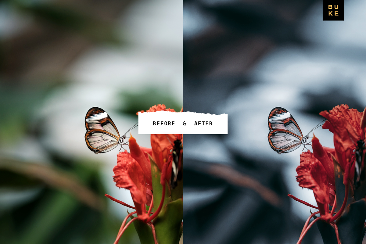 5 Cool Blush Lightroom Presets Pack, a Preset Add-On by SHOOM HOUSE (Photo 3 of 8)