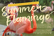 Lemon Talk Modern Handbrush Font, a Script Font by stylishtype.co (Thumbnail 12 of 15)