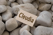 Cleudia Duo Font Sans Serif, a Sans Serif Font by Storytype Studio (Thumbnail 7 of 15)