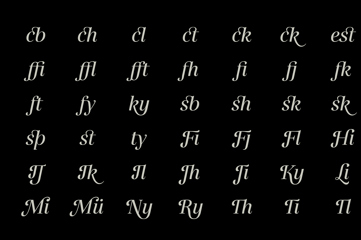 Gabriela, a Serif Font by Lechuga Type (Photo 11 of 17)