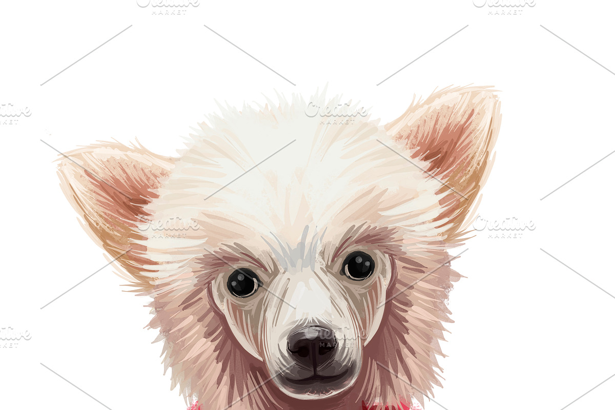 Puppies Dog Breeds Big Bundle 135Pcs, an Animal Illustration by Dneprstock (Photo 9 of 68)