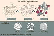 Fruit & Veggies Procreate Stamps, a Brush Add-On by Pink Studio Art (Thumbnail 2 of 8)