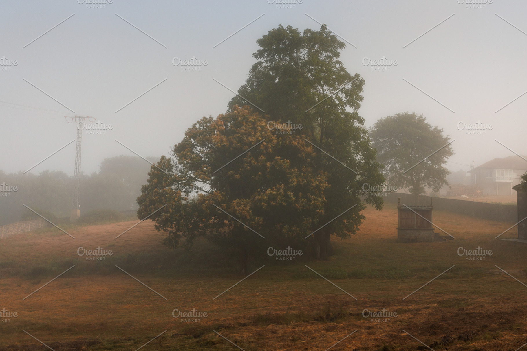 Misty Morning Landscape with Horreo and Trees, Camino Primitivo,, a Nature Photo by Bepslabor