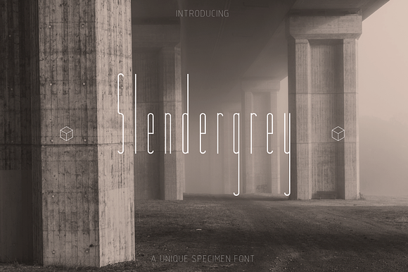Slendergrey preview 5