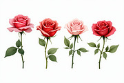Romantic Watercolor Rose Clipart Set, an Illustration by hafijul (Thumbnail 11 of 12)