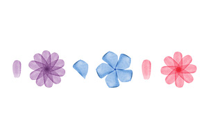 Soft watercolor floral collection, an Object Illustration by okskukuruza