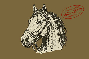 Vintage Horse Head Illustration
