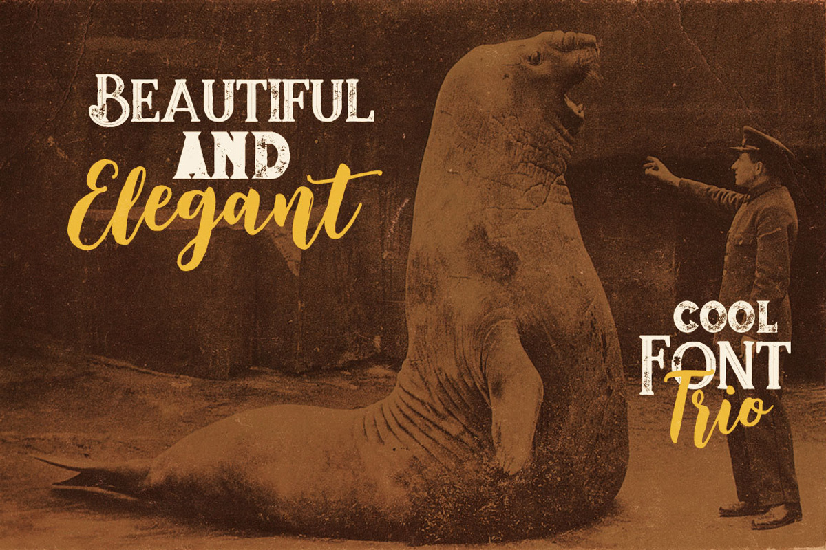 Jumbo Font Trio preview 3