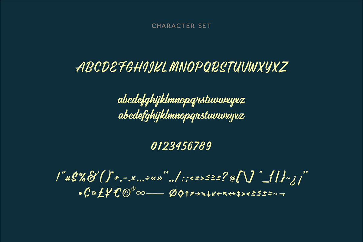 Alios Script, a Font by Panatype™ Studio (Photo 7 of 9)