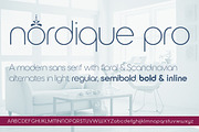 Nordique Pro Light, a Sans Serif Font by Leksen Design (Thumbnail 1 of 6)
