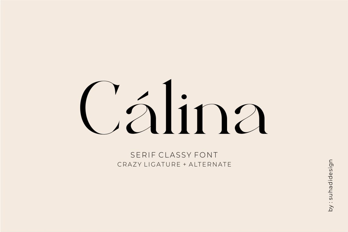 Calina serif classy font, a Serif Font by suhadidesign (Photo 1 of 18)