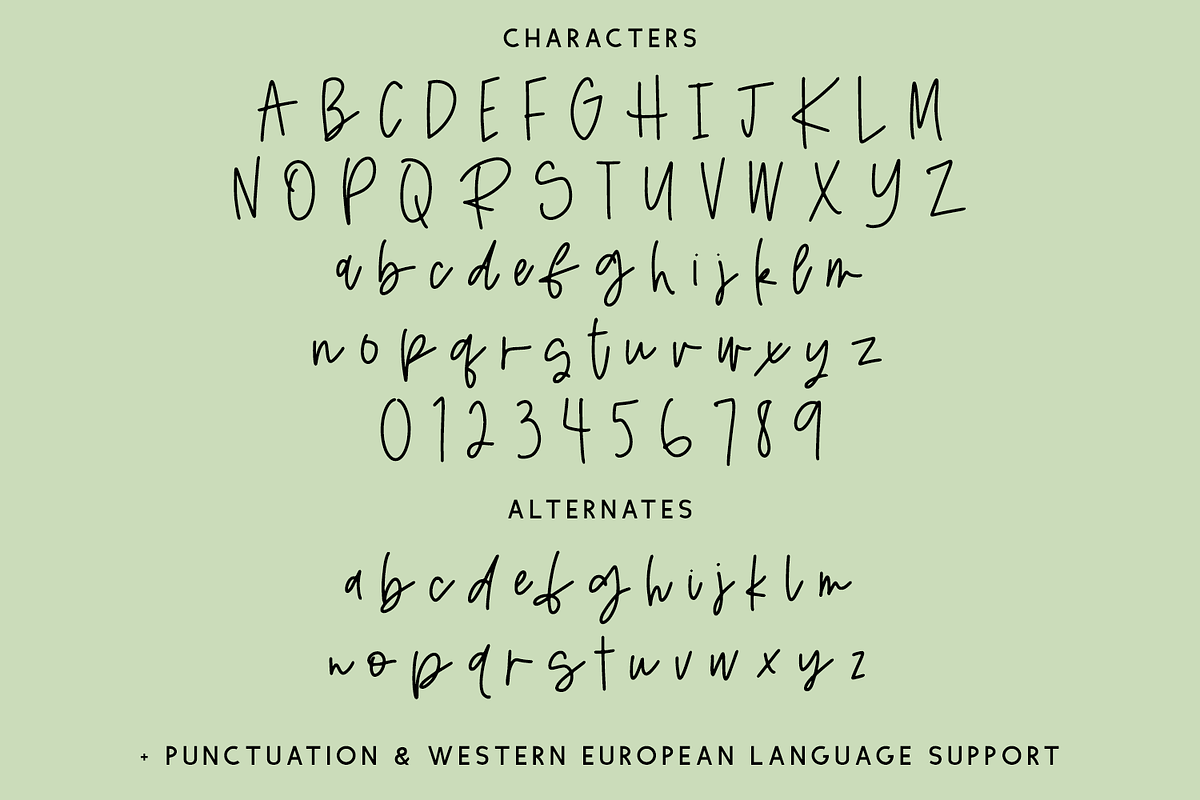 Intuition Script, a Handwritten Font by Beck McCormick (Photo 10 of 10)