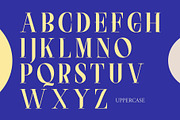 NCL Saigefy Cebahixa - Modern Serif, a Serif Font by Enxyclo Studio (Thumbnail 5 of 10)