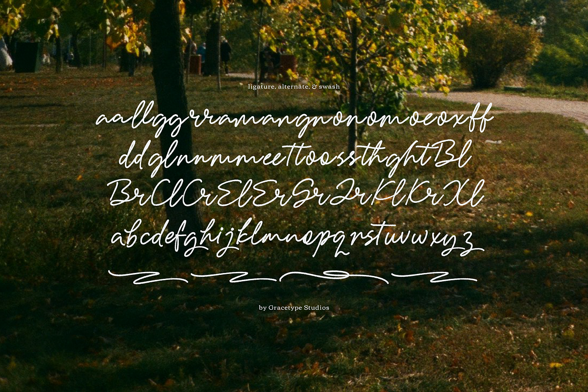 Garden Scrawl | Rough Handwritten, a Script Font by gracetype_studio (Photo 12 of 12)