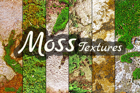 Moss preview 3