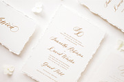 Franchesca |Wedding Calligraphy Font, a Script Font by Calamar Studio (Thumbnail 4 of 15)