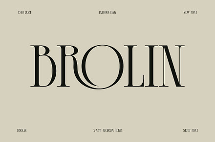Brolin A Modern Serif Font, a Serif Font by Alfinart