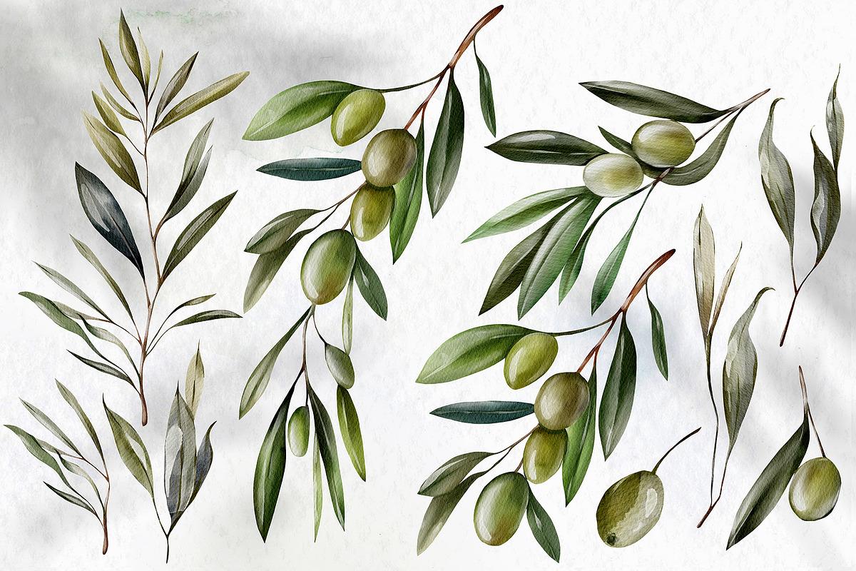 Watercolor Olives & Lemons, an Object Graphic by Knopazyzy (Photo 3 of 6)