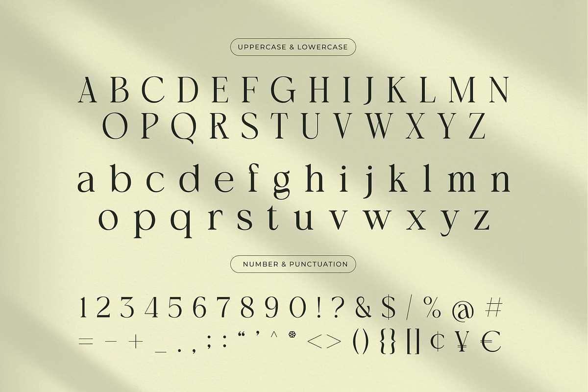 Arashy – Elegant Serif Font, a Serif Font by Almeera Std (Photo 6 of 6)