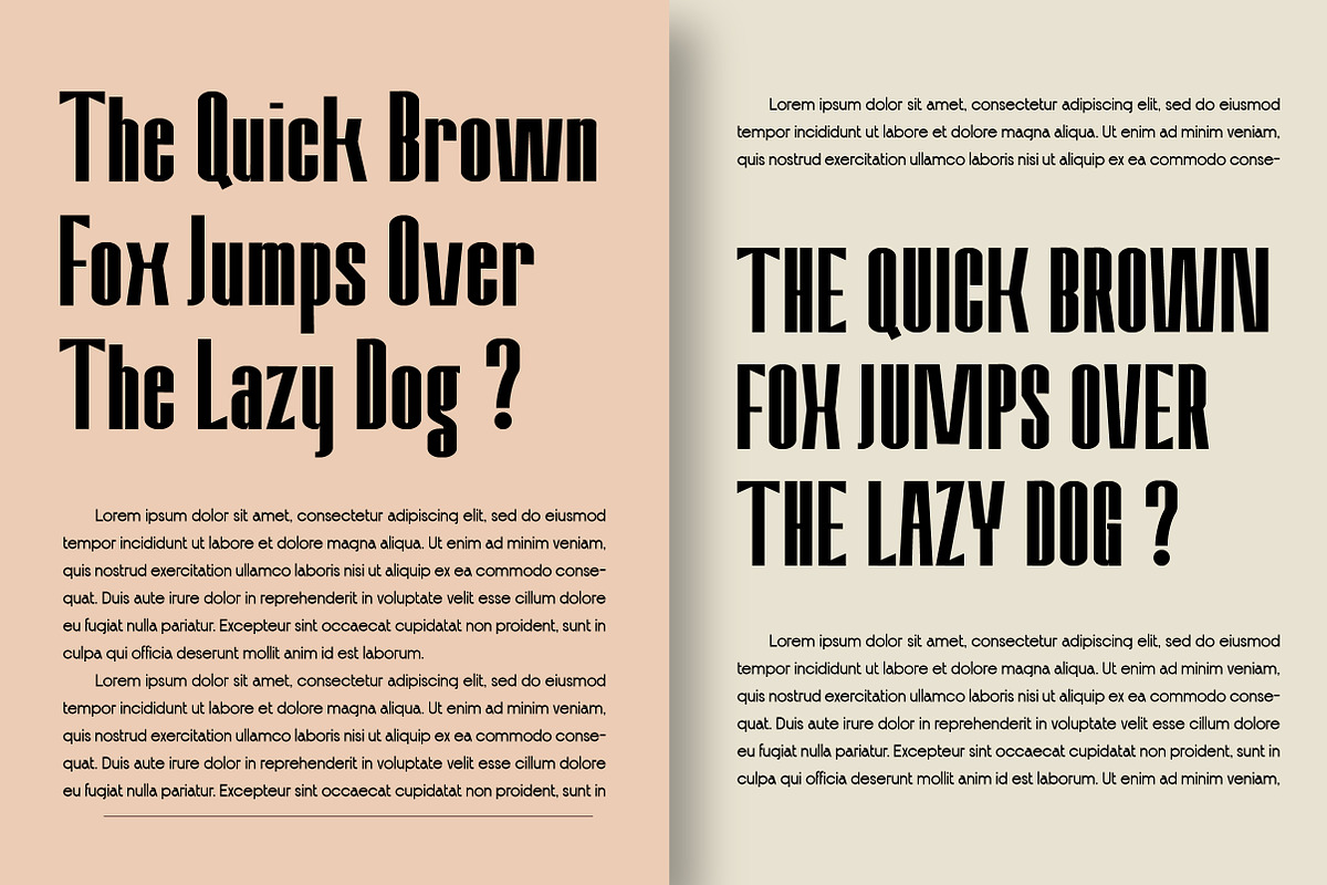 Amvergo Modern Sans Family, a Sans Serif Font by Lettertype Studio (Photo 14 of 18)