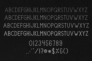 Portland Serif A Multi-Weight Font