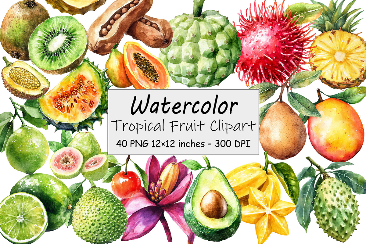 Tropical Fruit Clipart, an Illustration by Design Market (Photo 1 of 3)