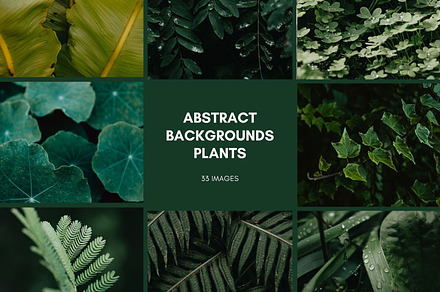 33 Images Pack - Plant Background