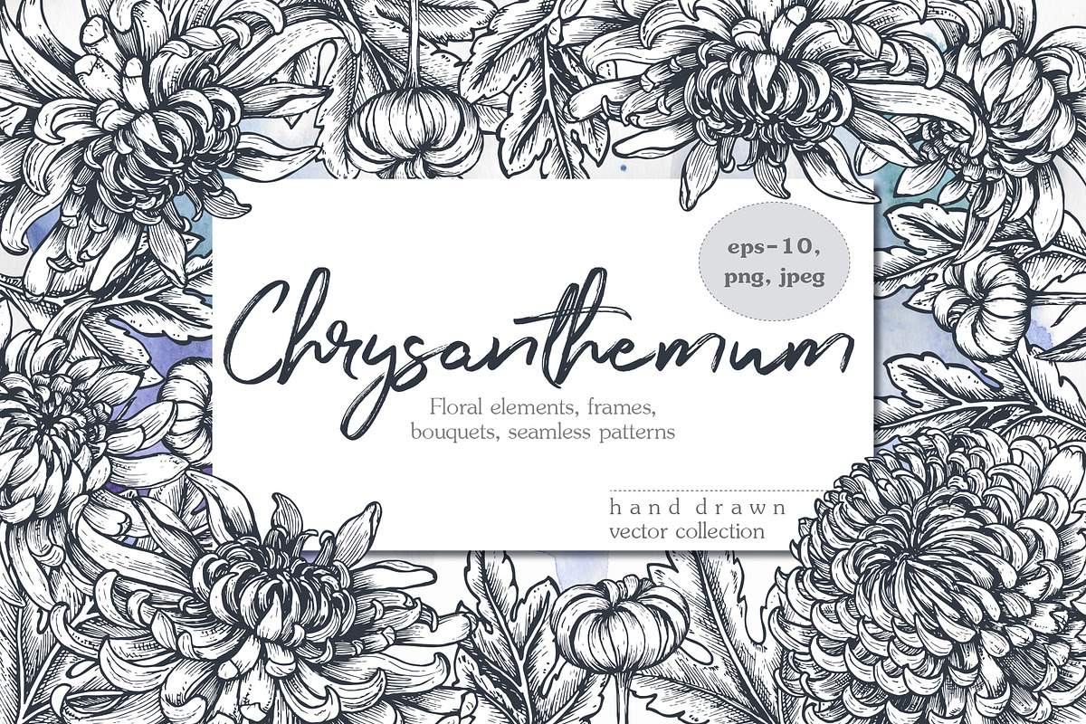 Chrysanthemum vector set, a Decorative Illustration by Molly art (Photo 1 of 11)