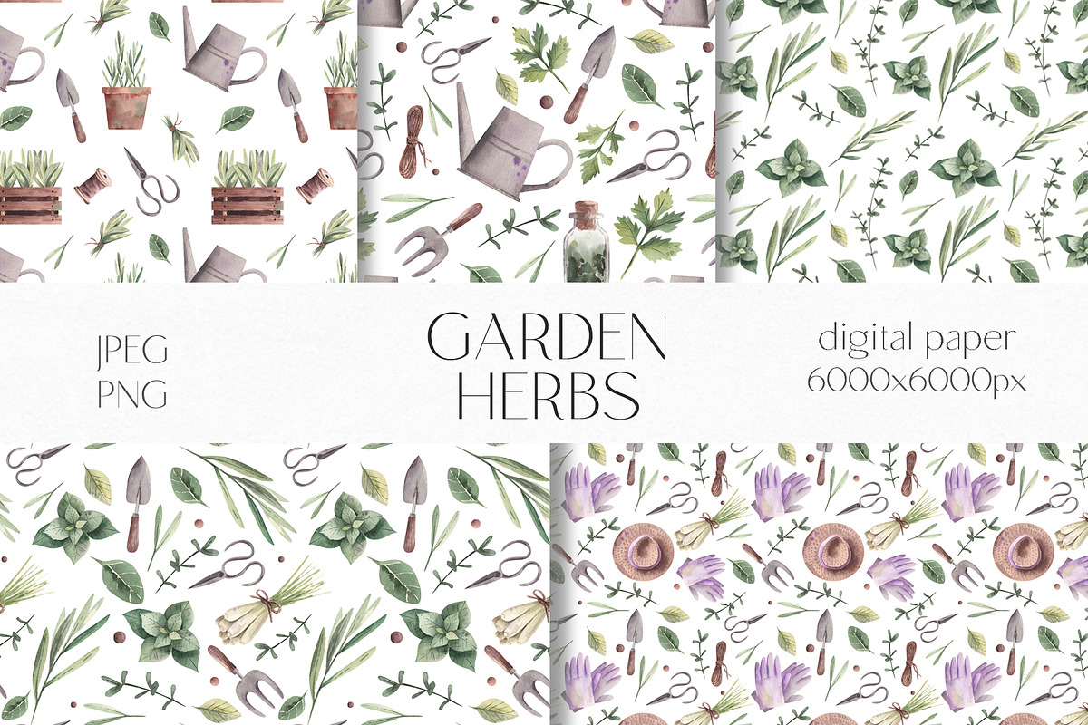 Watercolor Garden Herbs Clipart, a Food Illustration by YuliyaArtGarden (Photo 8 of 9)