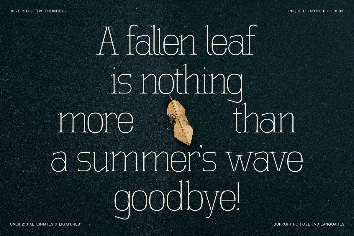 SLTF Winner Baroque - Ligature Serif, a Serif Font by SilverStag Type Foundry (Photo 14 of 30)