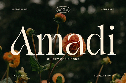 Amadi - Quirky Serif Font, a Serif Font by Craft Supply Co.