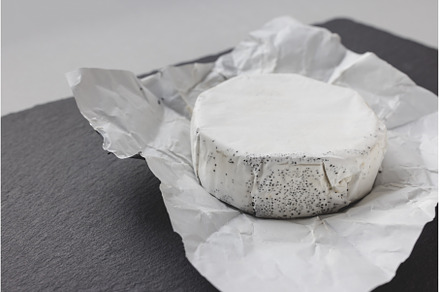French round camembert cheese with, a Food & Drink Photo by Lermont51