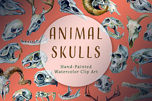 Animal Skulls Watercolor Clip Art