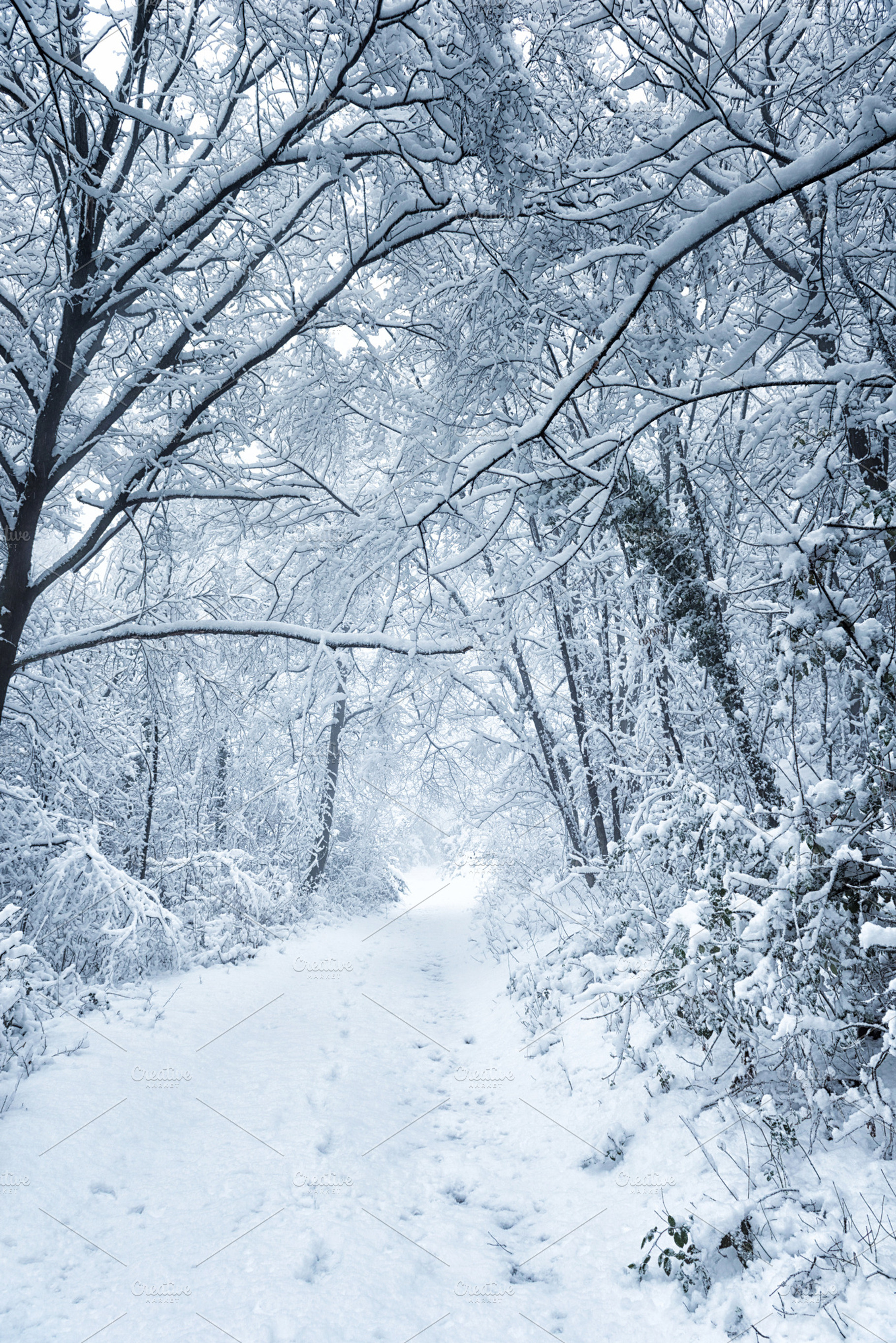 Snowy shape stock photo containing shape and snow, a Nature Photo by Giordano Aita Graphics
