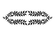 Floral Frame Ornament Vector Bundle, an Illustration by Designs_River (Thumbnail 16 of 51)