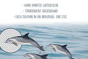 Dolphins Watercolor Clip Art & Print, an Education Illustration by Tati Bordiu (Thumbnail 2 of 4)
