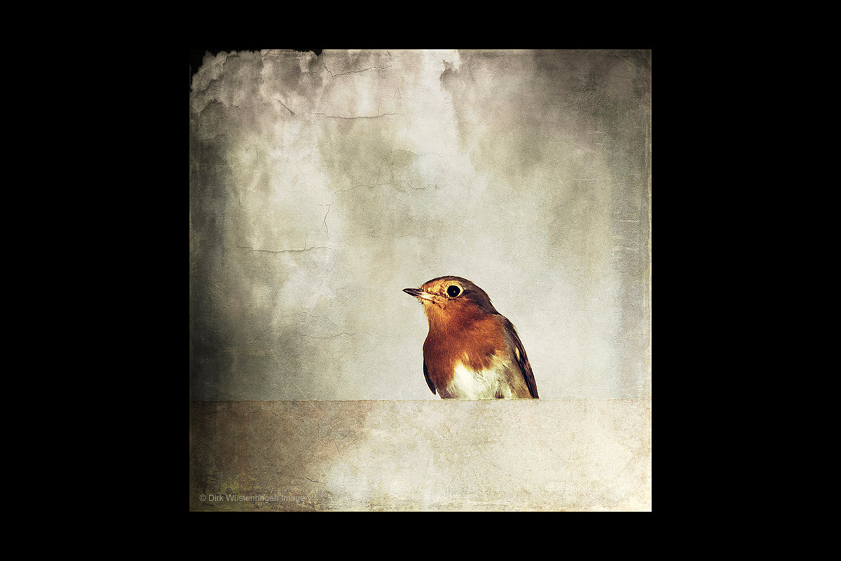 Fine Art Texture Collection, a Texture Graphic by dyrkwyst textures (Photo 3 of 6)