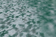 AUTUMN AND WINTER TEXTURE PACK, a Textures & Material 3D Model by Beatheart Creative Studio (Thumbnail 23 of 58)