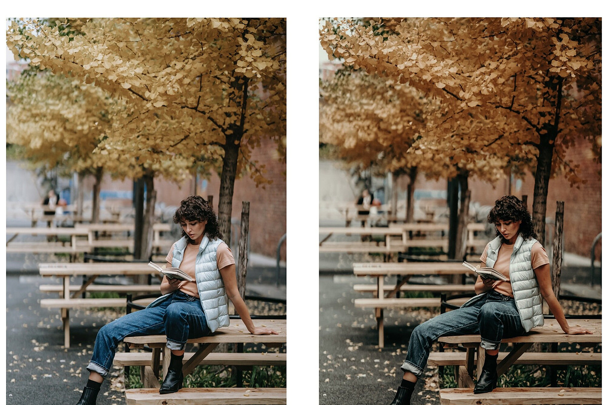 Fall Lightroom Presets Bundle, a Preset Add-On by Victoria Bee Presets (Photo 2 of 17)
