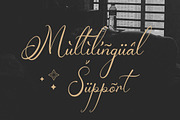 Teofandin Levantamy | Wedding Script, a Script Font by Denustudios (Thumbnail 13 of 14)
