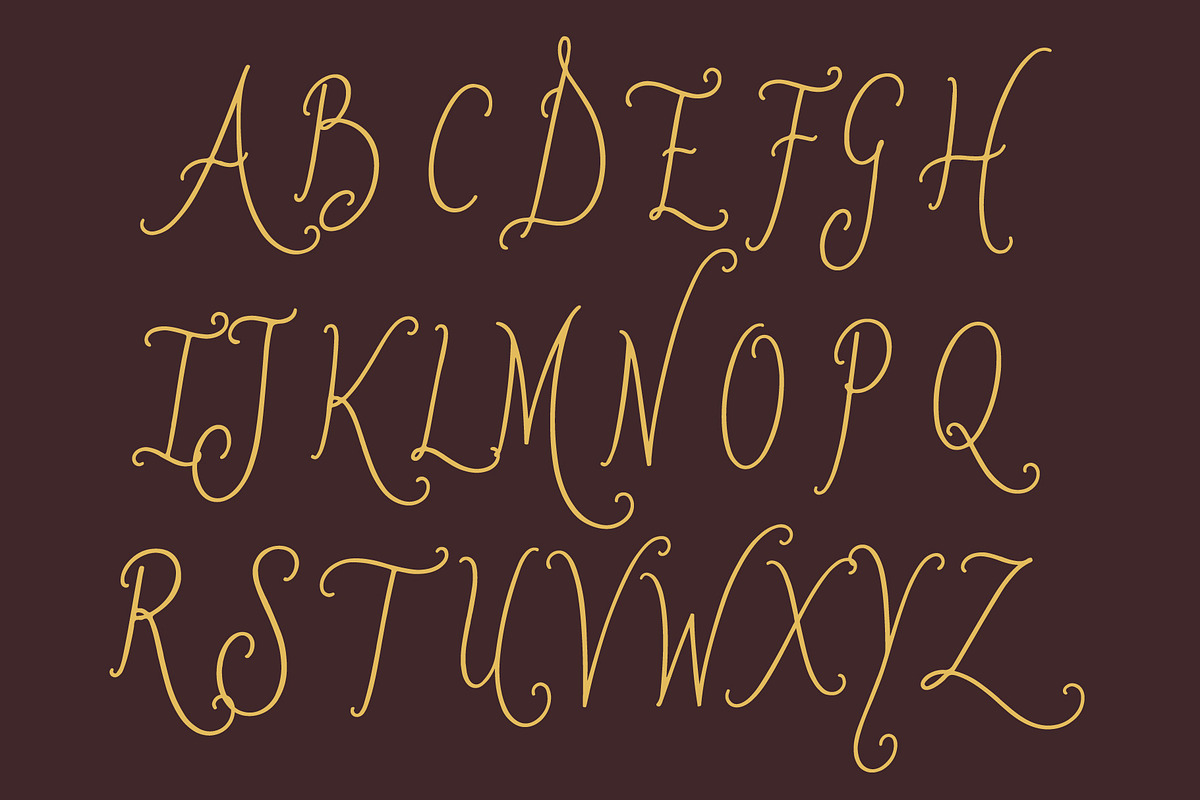 MidelaAruse - Simple Minimal Script, a Script Font by HypeWorksCo (Photo 14 of 15)