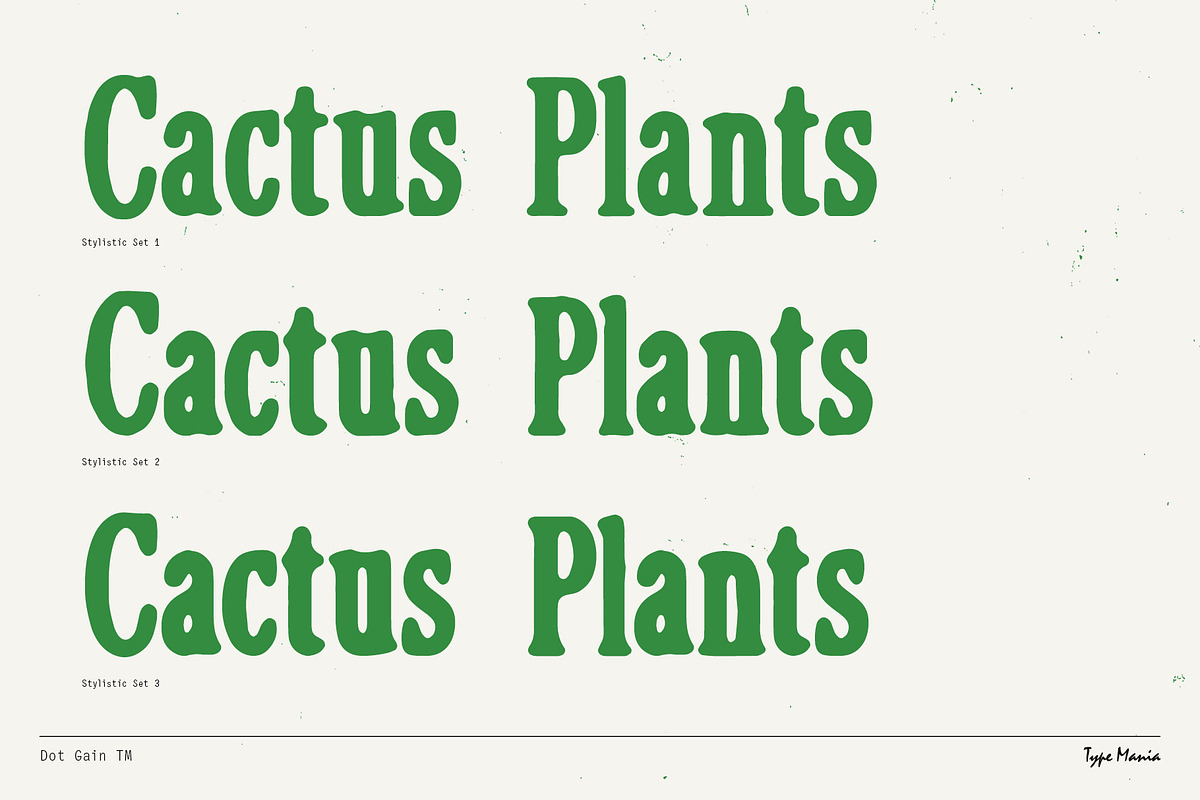Dot Gain TM – Cozy Serif, a Serif Font by Type Mania (Photo 5 of 10)