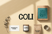 Coli | Modern Luxury Serif, a Serif Font by Astuti Studio (Thumbnail 20 of 22)