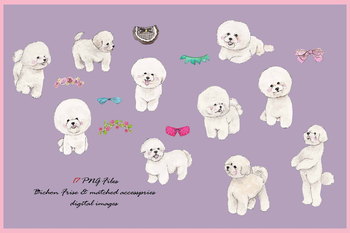 Bichon Frise Clipart Digital Paper, an Animal Illustration by VianneArt (Photo 3 of 7)