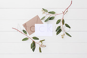 5x7 Invite Mockup - Eucalyptus 4, a Product Mockup by ILLONA GRAPHICS (Thumbnail 1 of 5)