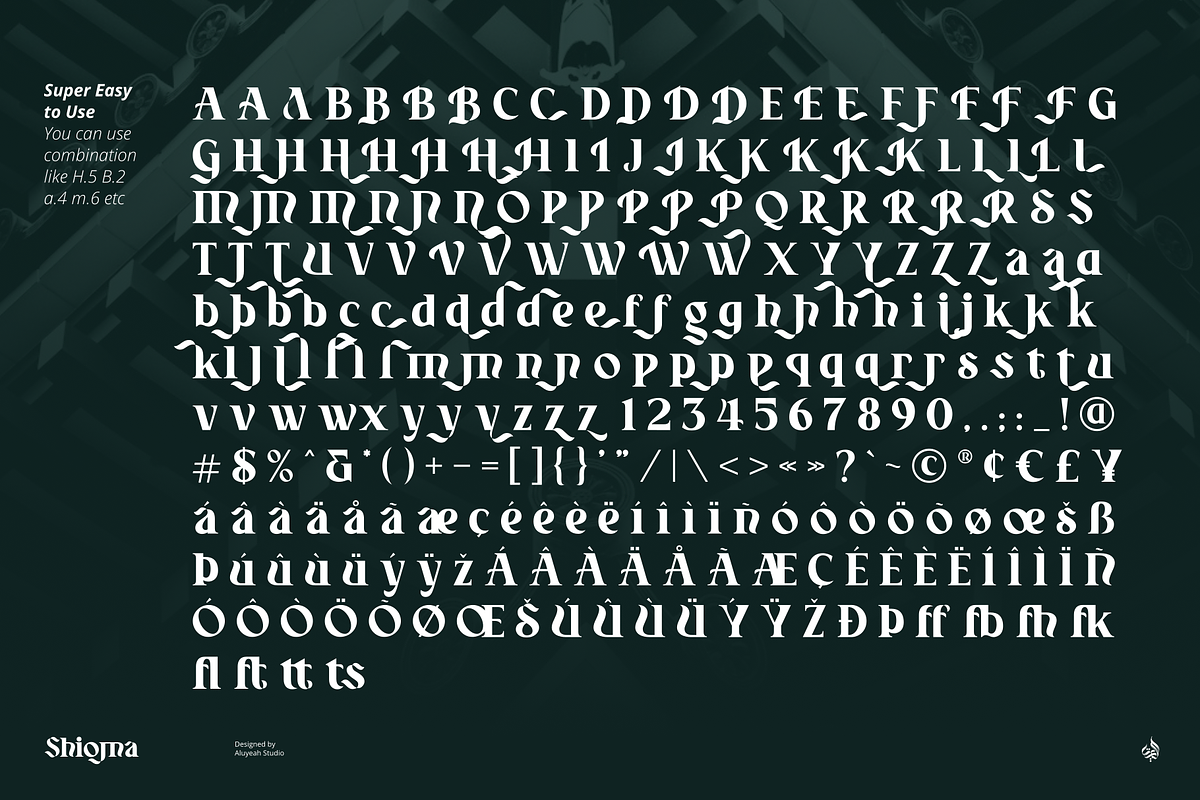 Shioma, a Serif Font by Aluyeah Studio (Photo 15 of 15)