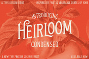 Heirloom Condensed, a Serif Font by Joseph Ernst Design Shop (Thumbnail 1 of 7)