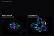 Biomedical Microscopy, a Healthcare Illustration by liravega (Thumbnail 2 of 7)