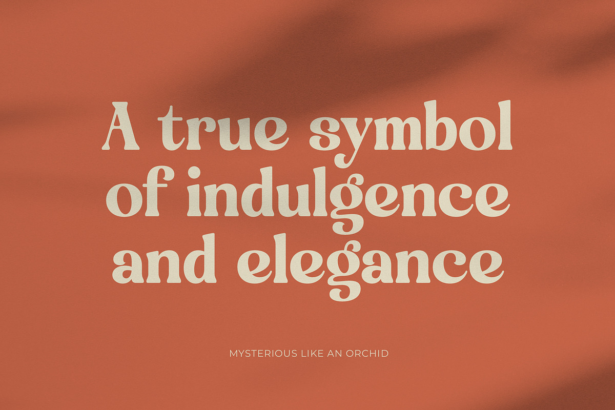 Engray Danton Modern Serif Font, a Serif Font by timelesstype.co (Photo 3 of 20)