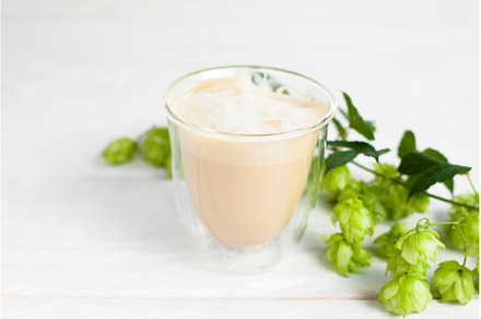 Glass of latte with hop sprig on, a Food & Drink Photo by Photo Drive Studio
